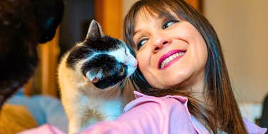 If Cats Seem To Love You More Than Other People You Probably Have These Rare Traits