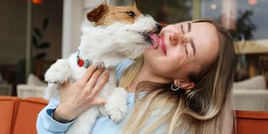 You Should Pick A Partner Like You'd Pick A Puppy