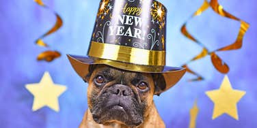 funny new year memes 2026