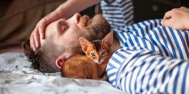 How Cats Protect From Evil Spirits & Negative Energy, Based On The Color Of Their Fur