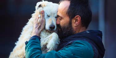 If A Man Does These Things Around Your Dog, You Should Marry Him As Fast As You Can