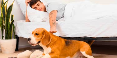 People Who Refuse To Allow Pets In Their Bed Often Share These Distinct Personality Traits