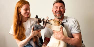 significant personality differences dog cat people