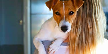 woman holding sweet dog looking sad trying to apologize