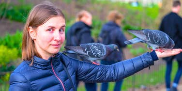 If You Ask Someone How They Feel About Pigeons, You Can Find Out These True Things About Who They Are As A Person