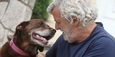 people talk pets about feelings rare soul deep connection