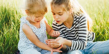 spiders house released outside probably won't survive