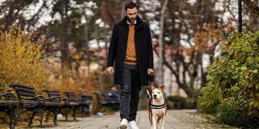 full-time engineer makes thousands extra dog walking business