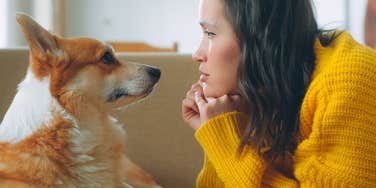 things dogs don't trust owners do often