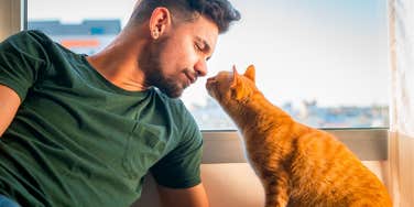 cat sniffing man's face to show love and affection