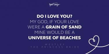 westley the princess bride movie quote