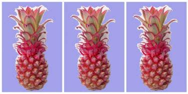 Stop Everything! Rosé Pineapples Are HERE And Instagram-Ready