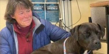Dog Who Went Missing For 4 Months Survives Fire And Snowstorm To Be Reunited With His Owner