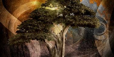 cosmic tree