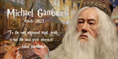 Michael Gambon, Albus Dumbledore 