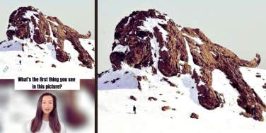 dog mountain visual test