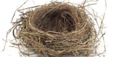 empty nest