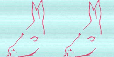 fish mermaid donkey horse seal optical illusion personality test