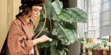 Woman taking care of her plants as a hobby 