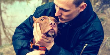 man, dog, trash, fighting dog