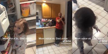 Dad yelling at toddler to get out of freezer TikTok