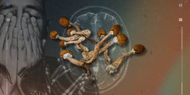 Medicinal effects on the brain of magic mushrooms