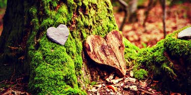 Heart memorial near a mossy tree