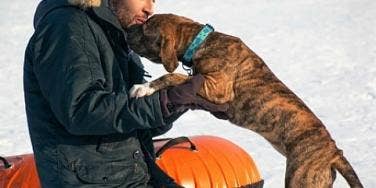 man kissing his dog