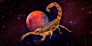 scorpion meaning and symbolism