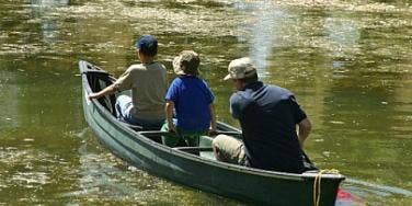 father and sons rowing boat