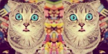 My Kid Found My Vibrator In My Bathroom Drawer — And I Told Her The Truth About Sex Toys