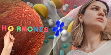 Womans hormones and their effect on our bodies and minds