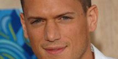 Celebrity Sex: 'Prison Break' Star Wentworth Miller: I'm Gay