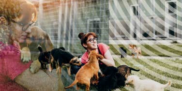 40 year old woman volunteering her time with animals 