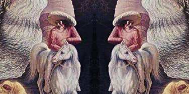 what you're like in love optical illusion