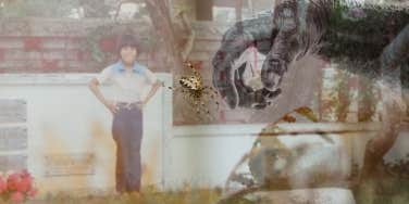 Childhood photo of author, mature hand reaching for spider 