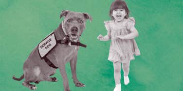 dog, animal, toddler, leash