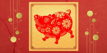 chinese lunar year of the pig zodiac symbol