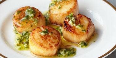 Pan-Seared Scallops With Chimichurri 