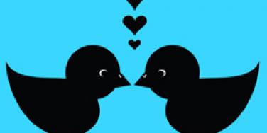 twitter love romance birds kissing
