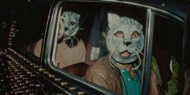 cat costumes cat costumes