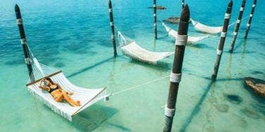 Dream Dream