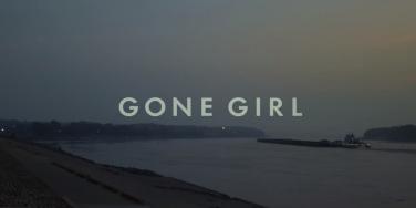 From the movie Gone Girl