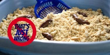 13 Extreme Halloween Gross Out Foods 13 Extreme Halloween Gross Out Foods