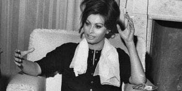 sophia loren sophia loren