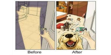 dogs dogs