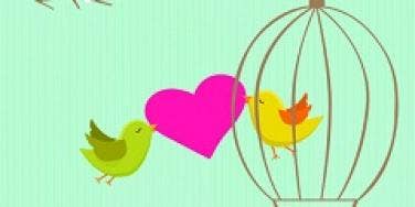 twitter birds in love