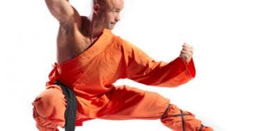 Martial Artist Crouching