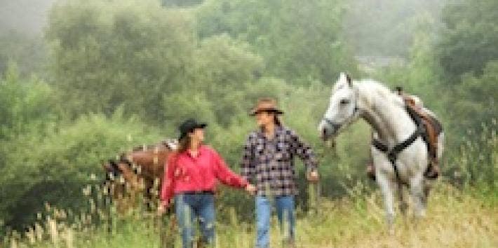 A man and a woman lead horses in a field.