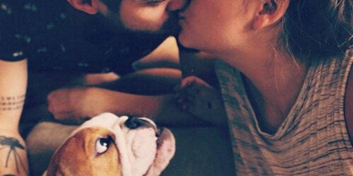 jealous puppy